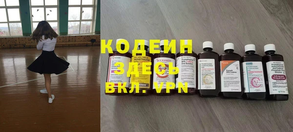 не бодяженный Заводоуковск