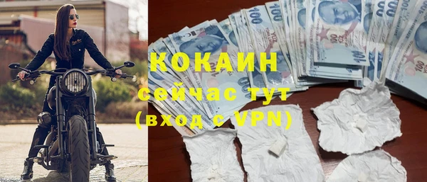 не бодяженный Заводоуковск