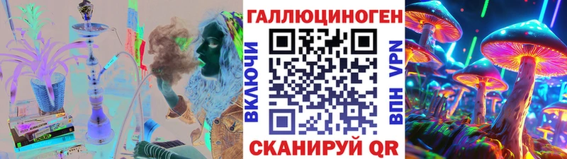 Псилоцибиновые грибы Psilocybe  Кущёвская 